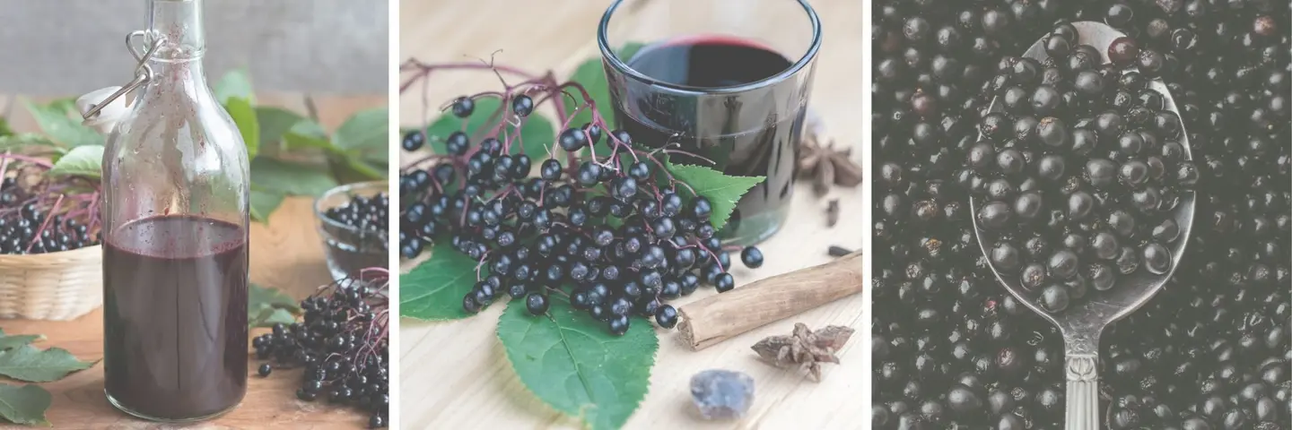 Is Elderberry Safe For Pregnancy