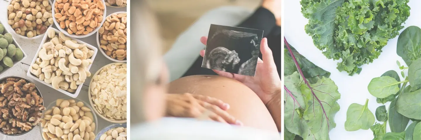 Pregnancy Food List For Baby Brain Development