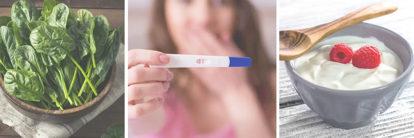 12 Early Pregnancy Superfoods