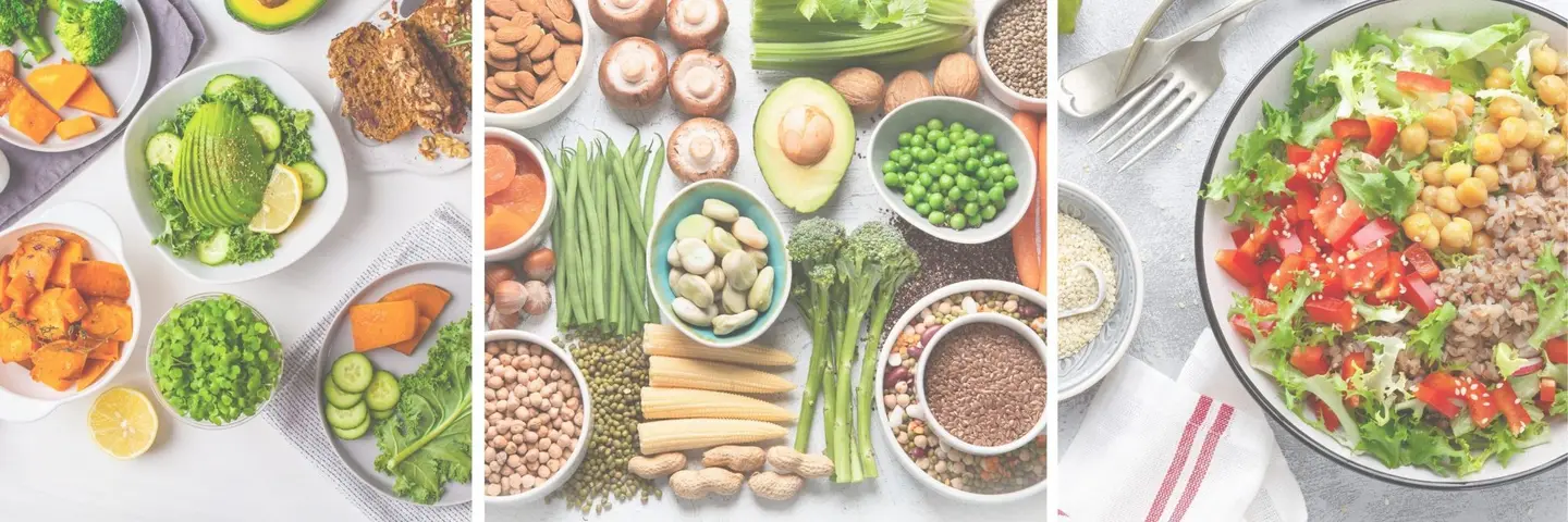 Plant-Based Protein For Pregnancy
