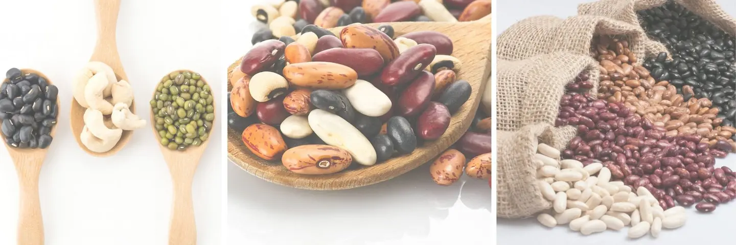 10 Best Beans For Pregnancy