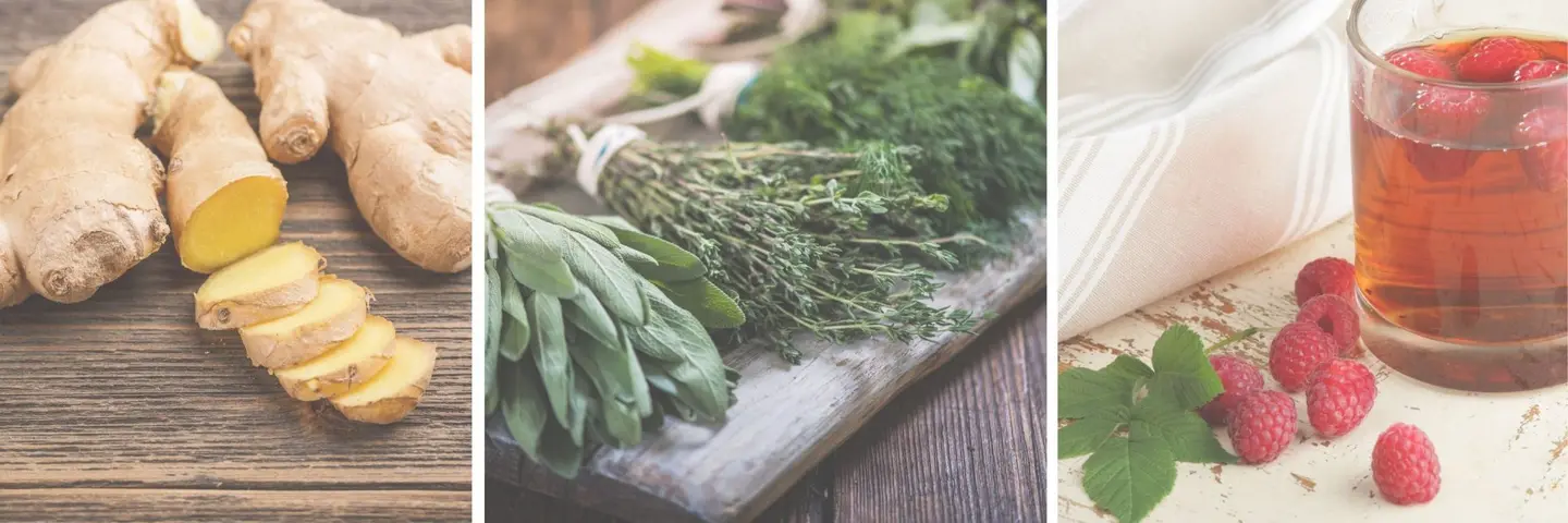 10 Best Herbs During Pregnancy