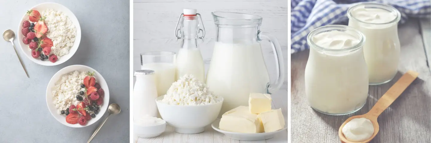 5 Best Dairy Products For Pregnancy