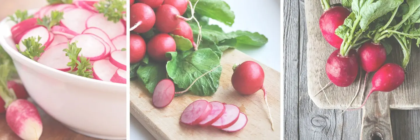 Radishes For Pregnancy