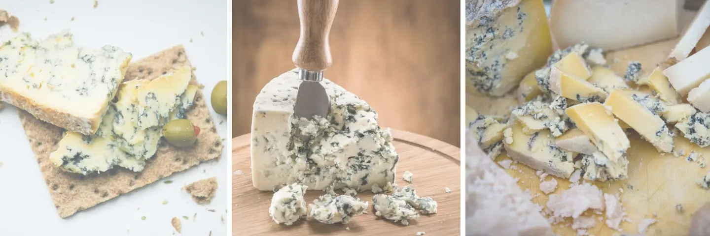 Can You Eat Blue Cheese While Pregnant?