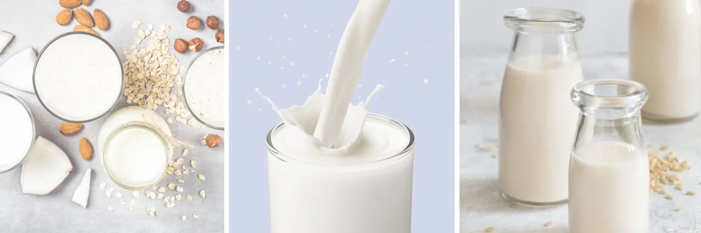 10 Best Milk (And Milk Alternatives) For Pregnancy