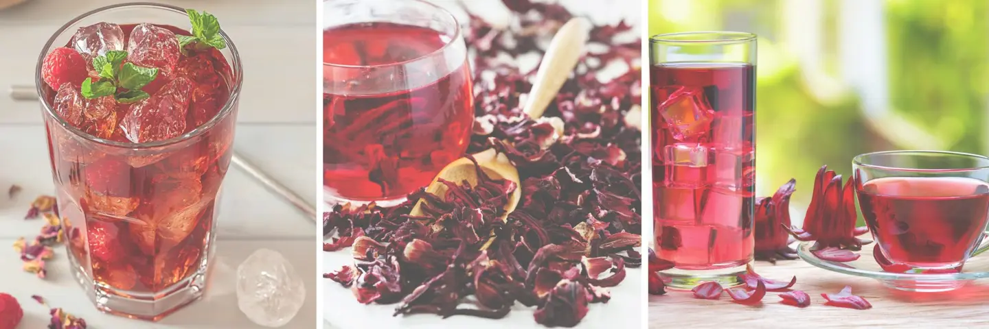 Is Hibiscus Tea Safe During Pregnancy?