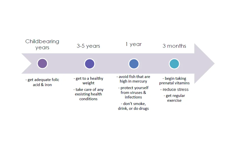 timeline to pregnancy | Why you should prepare for your pregnancy