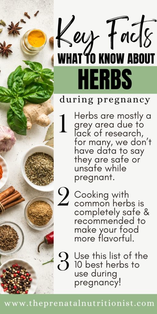 Herbs key facts Best Herbs During Pregnancy