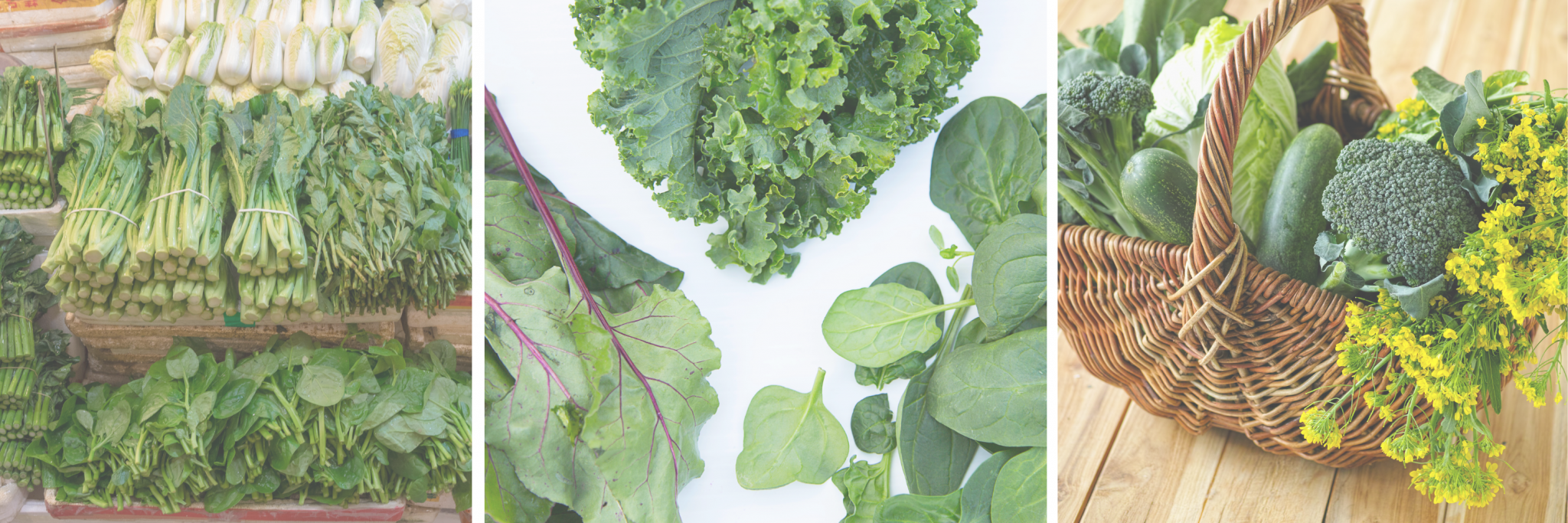 10 Best Leafy Greens For Pregnancy