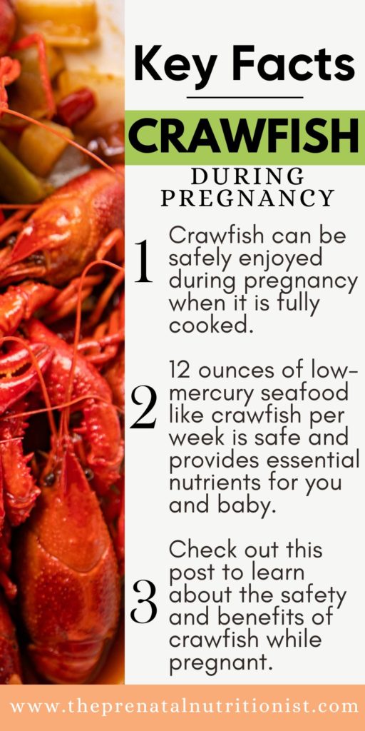 Crawfish key facts Can You Eat Crawfish While Pregnant?