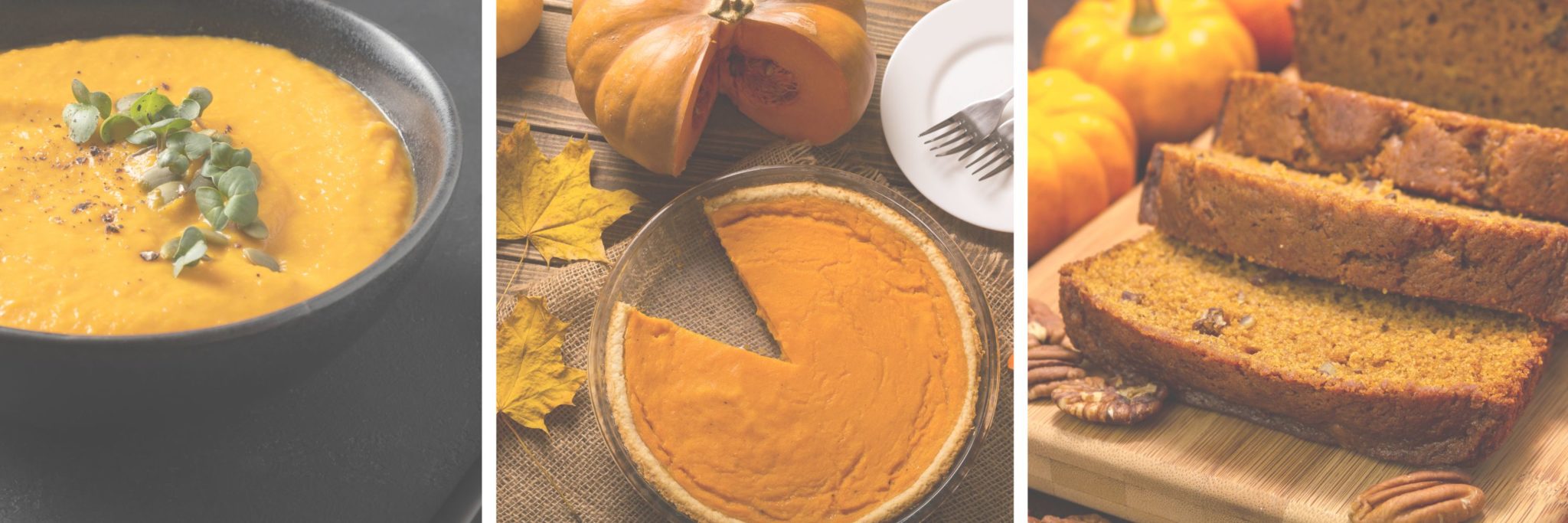 Pumpkin For Pregnant Women: Everything You Need to Know