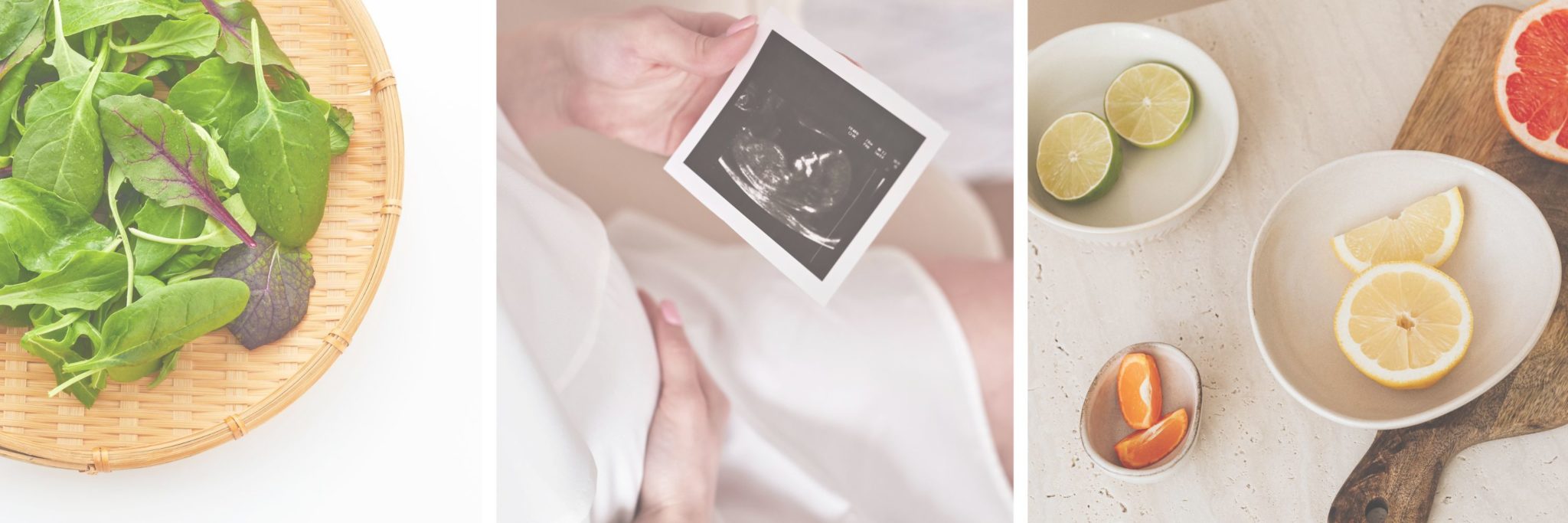 Folate in Pregnancy: Benefits, Dosage, and Best Prenatal Sources